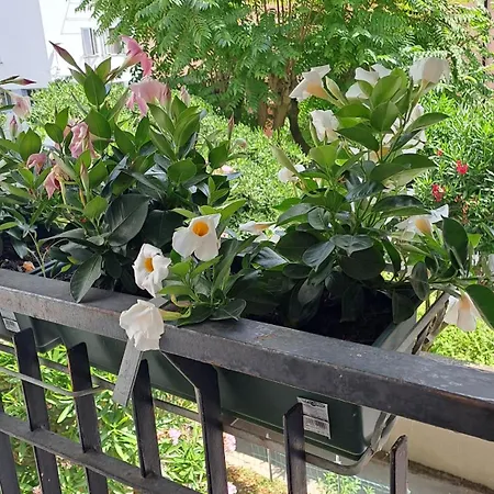 Casannamaria شقة كيودجا